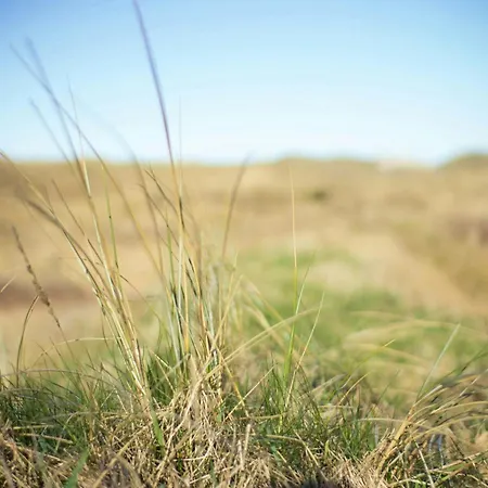 Thatched House In The First Row By The North Sea Tatil Evi *